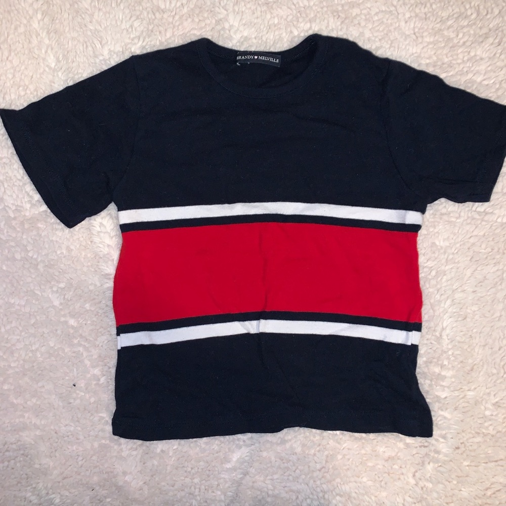 brandy melville crop top